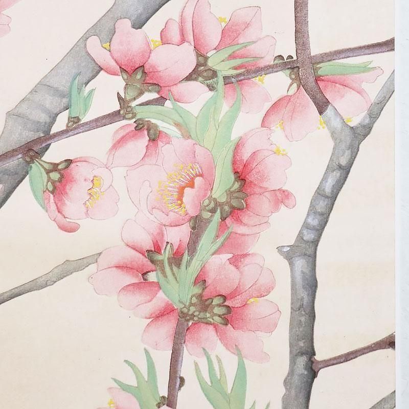 古版画 池田瑞月瑞月草花画譜 桃アンティーク 浮世絵ピンク桃 春アート