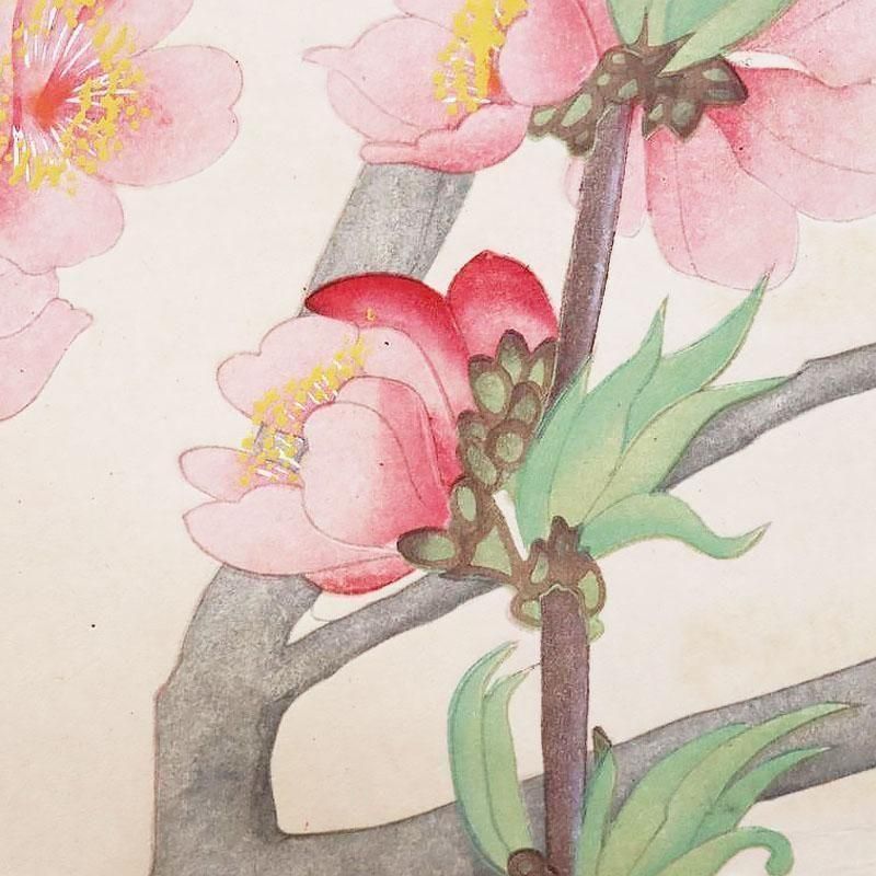 古版画 池田瑞月瑞月草花画譜 桃アンティーク 浮世絵ピンク桃 春アート