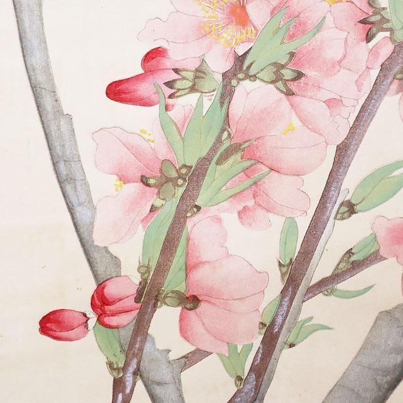 日本画 花の絵 版画　昭和レトロ　アンティーク NO.480】A4☆桜の花日本画アートポスター和柄和モダン大正ロマン