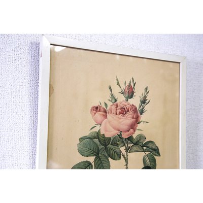 アンティーク板絵✳︎植物画 薔薇 葡萄 木製 額絵 トールペイント