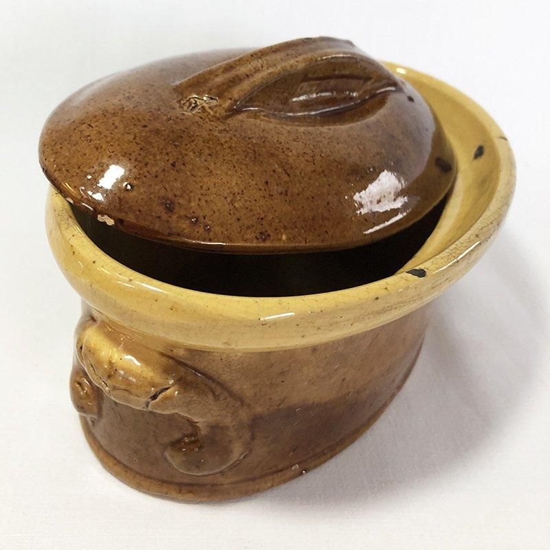 Хڴ顡ƥ꡼̡֥륮˥