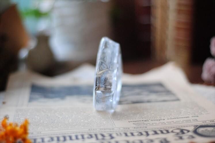 ǥΥ֥Ȥ 饹ǭ ֥ ̲ ͥ ƥꥢ ʪ ڡѡ ƥ_220929