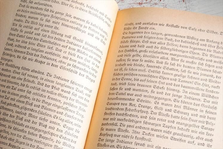 ドイツ インゼル文庫 かわいいハート柄装丁の文庫 洋書