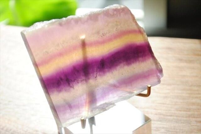 ꥫϤ ̵ʥƥꥢȡ 쥤ܡե饤 ץ졼 144g եȡ ȥԡ ֥  _210720