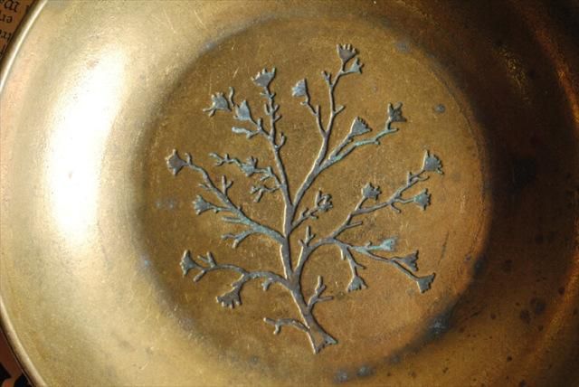 ե󥹤Υ֥Ȥ  İڲ֤Υȥ쥤 ֥饹 ƥꥢ ʪ ơ ƥ_220713