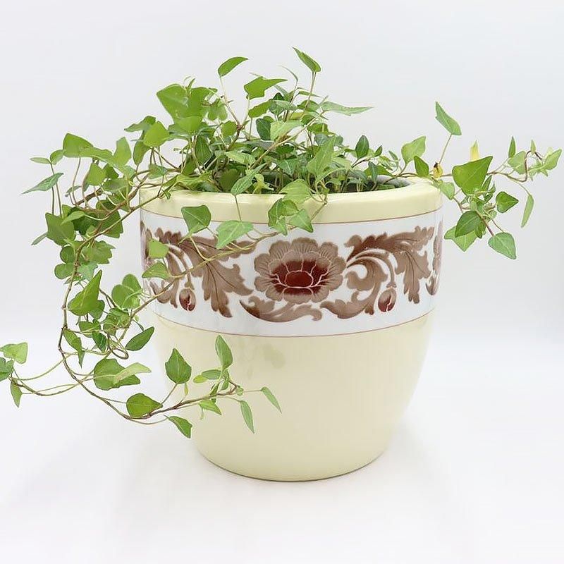 Υ꥿ ȭ  ȭС ȥ     ƥꥢ ƥʥ꡼ϡ꡼/ե