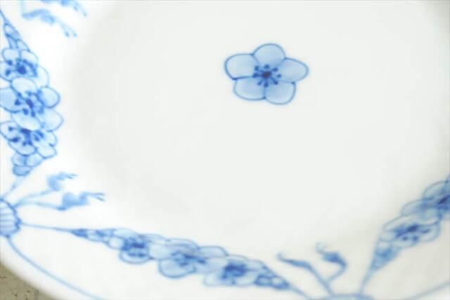 ǥޡ B&G EMPIRE 15.5cm ץ졼 ӥ󥰥 ̲ ̲ ơ ƥ