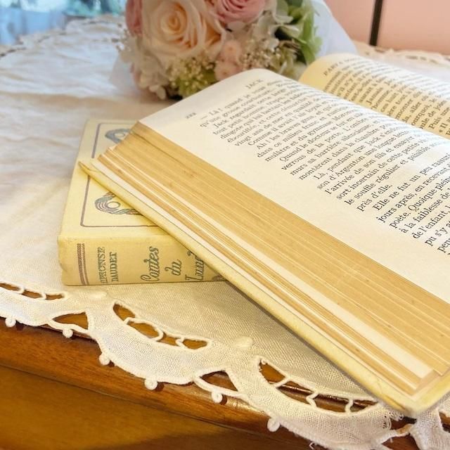 フランスアンティーク洋書 NELSON おしゃれディスプレイ用