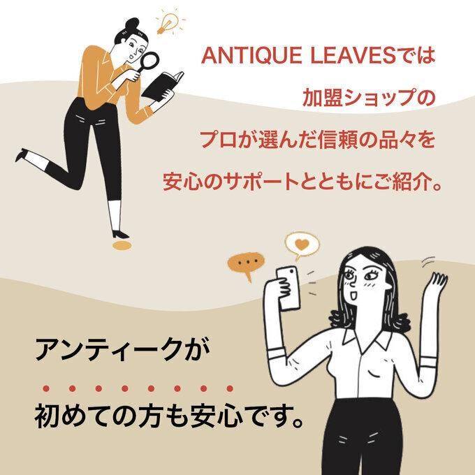 ѥ졡ե롼ĥܡ롡Х Сץ졼
12twbj14