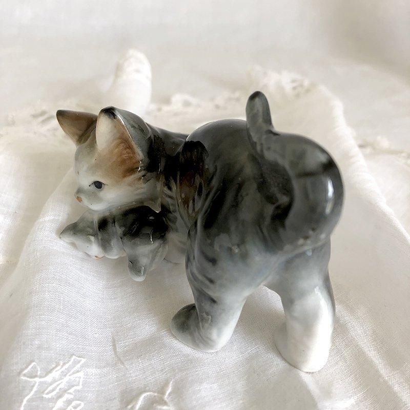 ƫʪ ե ǭοƻ
11OTk1