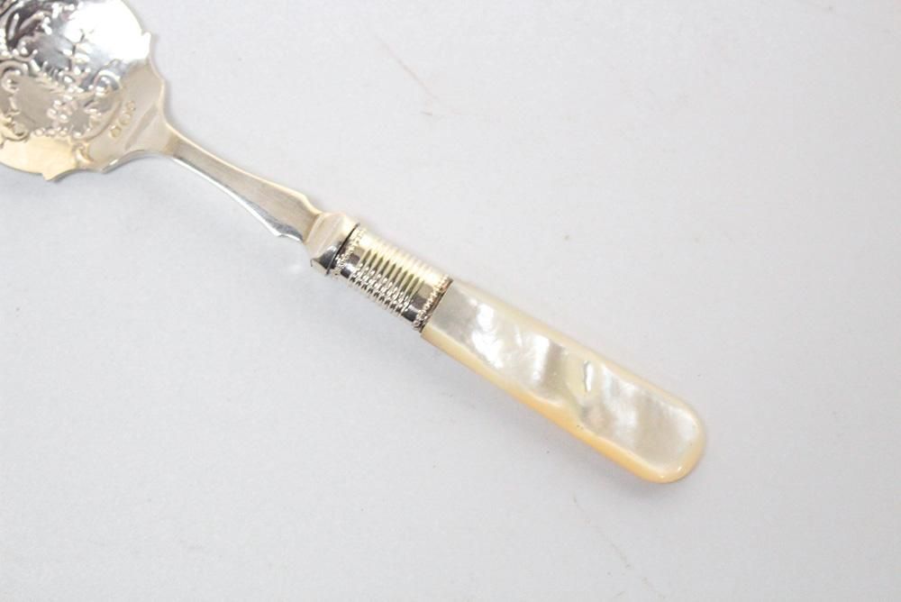 アンティークマザーオブパールスプーン - ANTIQUE LEAVES