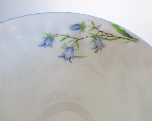 ꥹShelleyTV(ʥå˥å