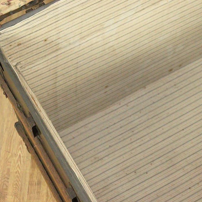 ȥ  ȥ 饷å ĥ Ȣ ƥ ơ ȥ٥ ƥꥢ