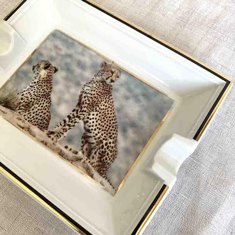 ѥ󥵡γʪˡ
12OTcn52