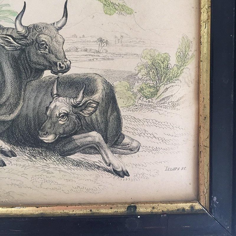 ƥ å󥰡ʲ衡Ҿε
11otp45