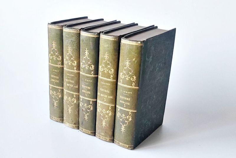アンティークブック フランスの歴史書19世紀