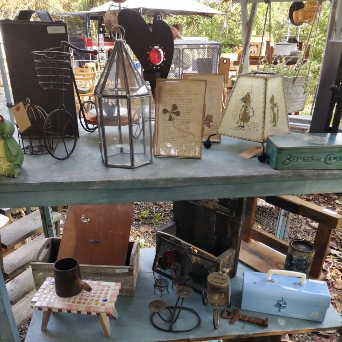 οιơԤ¤٤ƤŨʥƥߡɥۥʤɡ