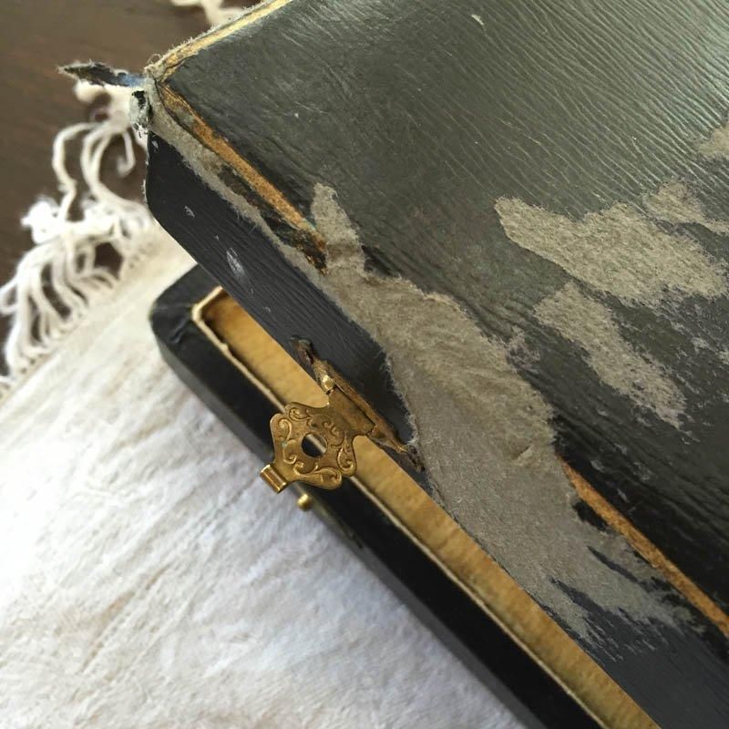 ӥ󥰥ȥ꡼åȡʵѡȢ
12TWt6