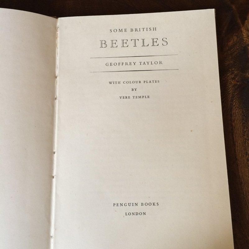 ҡإꥹκ٥ڥ󥮥֥å
11PSbk2