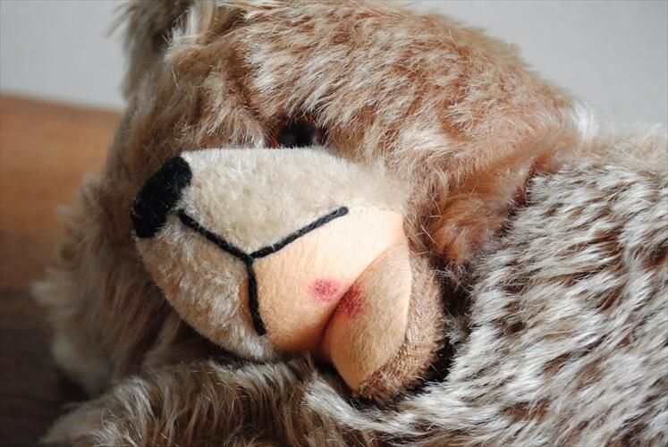  ɥĤΥơ ž֥  ƥǥ٥ ɡ ̤ ͷ ե奢  ȥ ƥ_230314