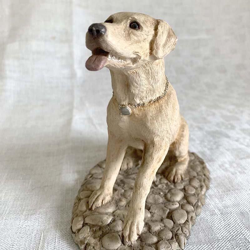 Labrador Retriever｜ラブラドールレトリバー | 🐶 ・ ・ ご来店