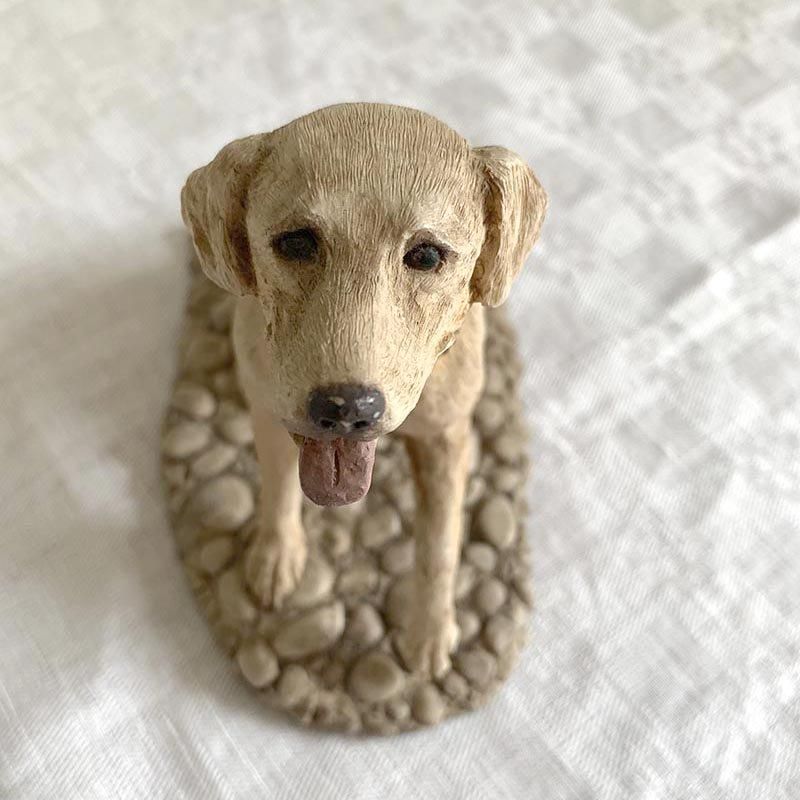 ֥ɡȥ꡼Сʪ йѤΤͷ
12OTbv13