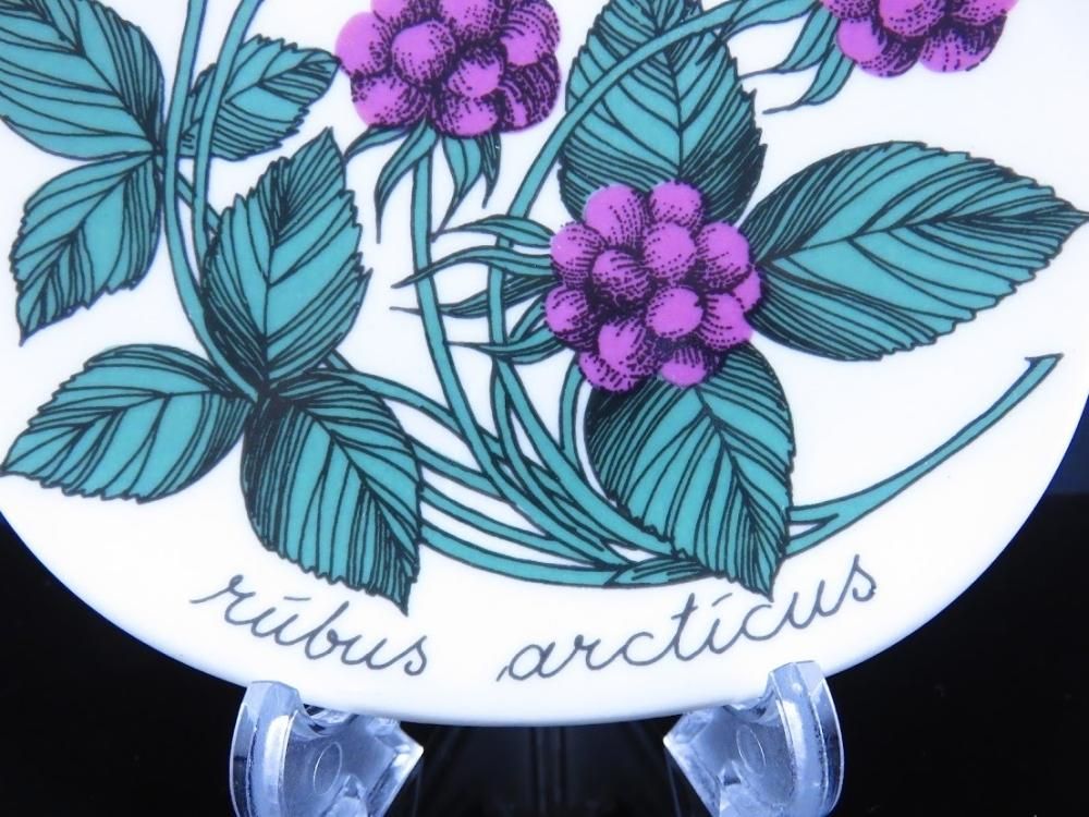 ARABIA/アラビア Botanica/ボタニカ rubus arcticus ARABIA/アラビア Botanica/ボタニカ rubus arcticus