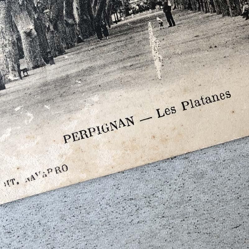 ݥȥ ץ饿ʥڡUSED1915ǯ
15PSa16-1