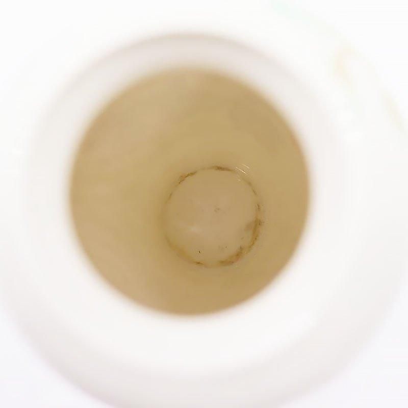   ϥɥڥ ɥΥ꥿  ե١  쥬 饷å֤