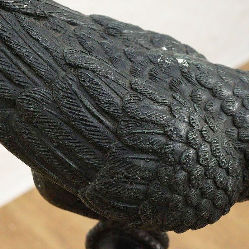 °  ʪ  ֥ Ļ ƥ ơ ƥꥢ Ǯ ǥ B