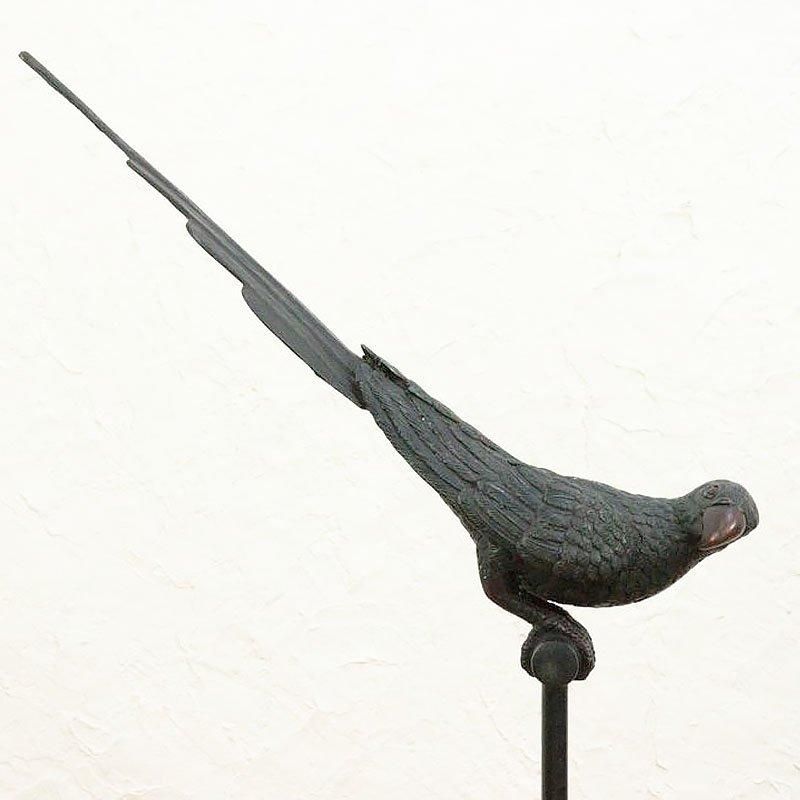 °  ʪ  ֥ Ļ ƥ ơ ƥꥢ Ǯ ǥ B