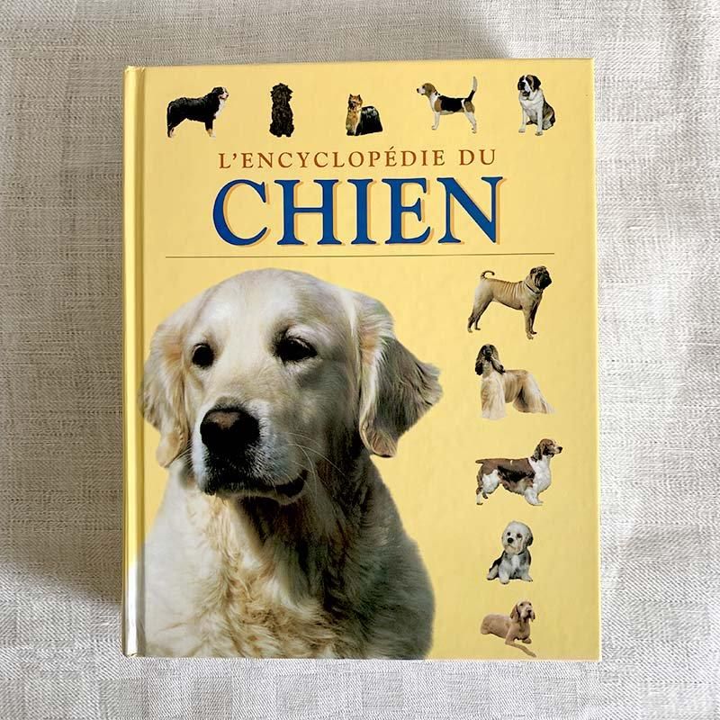 フランス古本 犬の百科事典 大型図書 12PSbv13 - ANTIQUE LEAVES フランス古本 犬の百科事典 大型図書 12PSbv13 - ANTIQUE LEAVES
