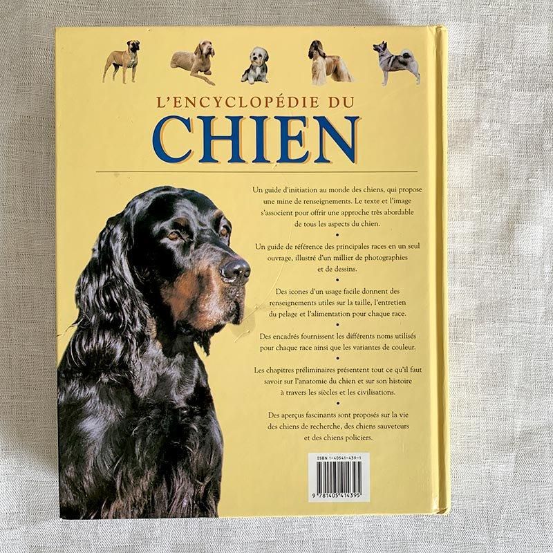 フランス古本 犬の百科事典 大型図書 12PSbv13 - ANTIQUE LEAVES