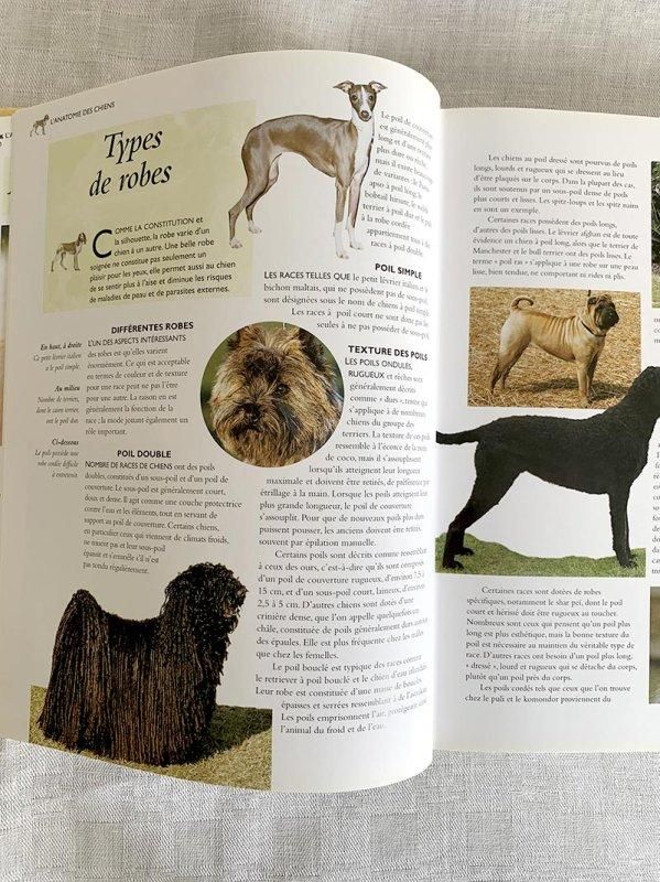 犬の百科事典 フランス古本 大型図書