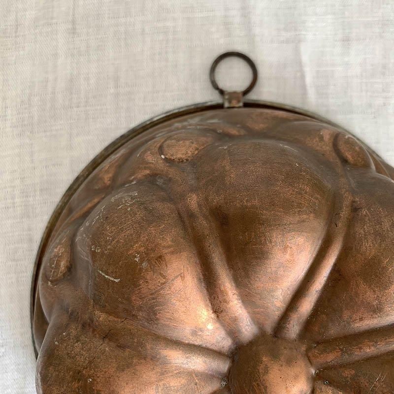 åѡ⡼ɡۻҾƷ 礭Υշʽ ƥꥢˡ
18KWa32-2