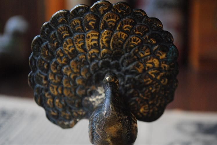 ե󥹤 﫤ι ֥ ֥饹 㥯 ԡå ƥꥢ ʪ ڡѡ ƥ_230414