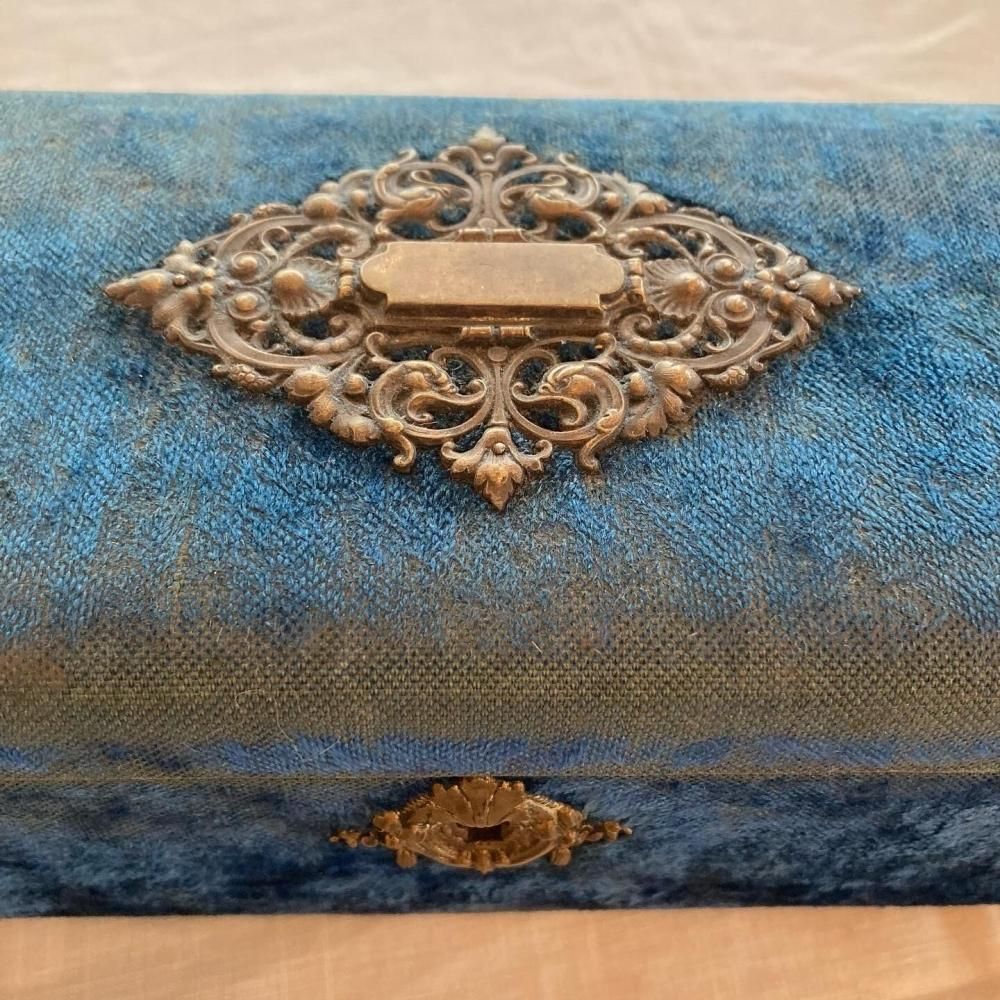 フランス アンティーク ビロード グローブケース 青