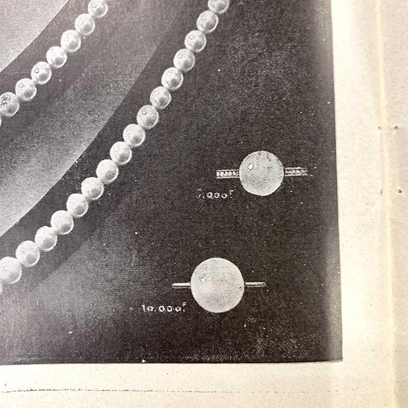 ơillustration1912.124PΥ סѡ롦
18PSa21-14