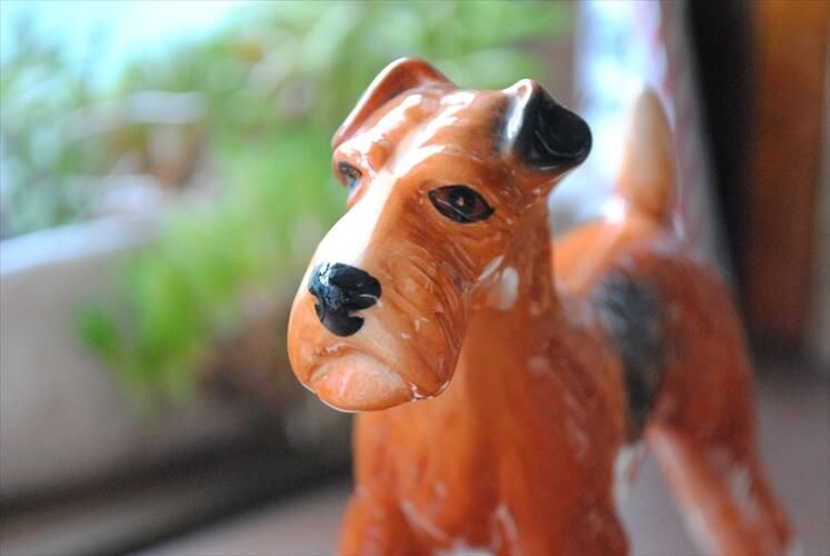 󥰥 Melba Ware  ƥꥢ Х ե奢 륷ƥꥢ ֥ ȥԡ ƥ ơ_230517