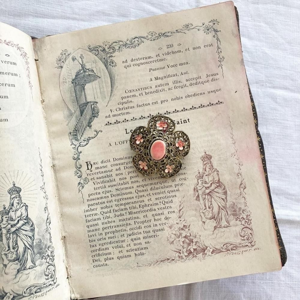 ڥեľ͢ۥԥ󥯤ξ֤İ餷 ơ ֥