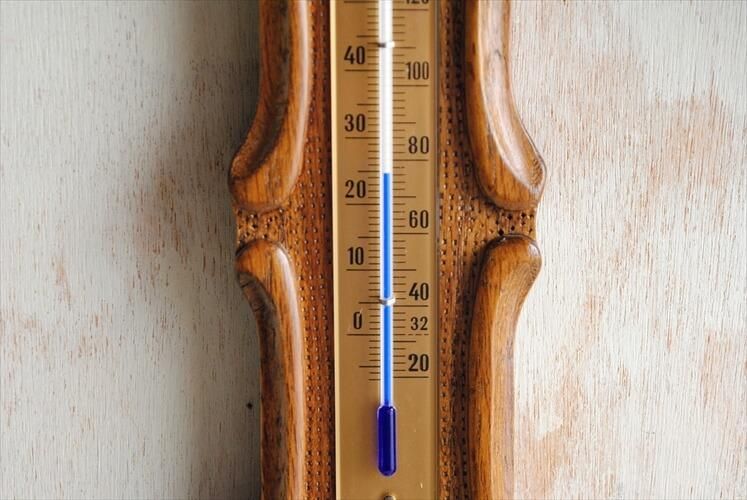 ɥ ϥɥᥤ ɳݤٷ ٷ  ߥåɥ꡼ ơ ƥ_230601