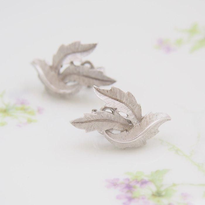 Trifariȥեꡡ Сȡ󡡥꡼ա󥰡/ơ奨꡼꡼