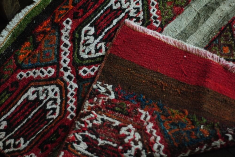 ȥ륳  ɥ 饰 11670cm ʡ ȥɥ ץ饰ȤƤ⡪  ڥå _230706