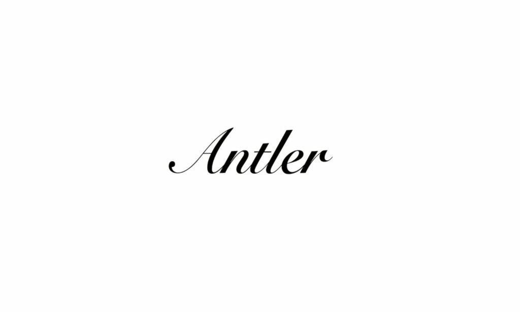 Antlerʥȥ顼ˤβ1