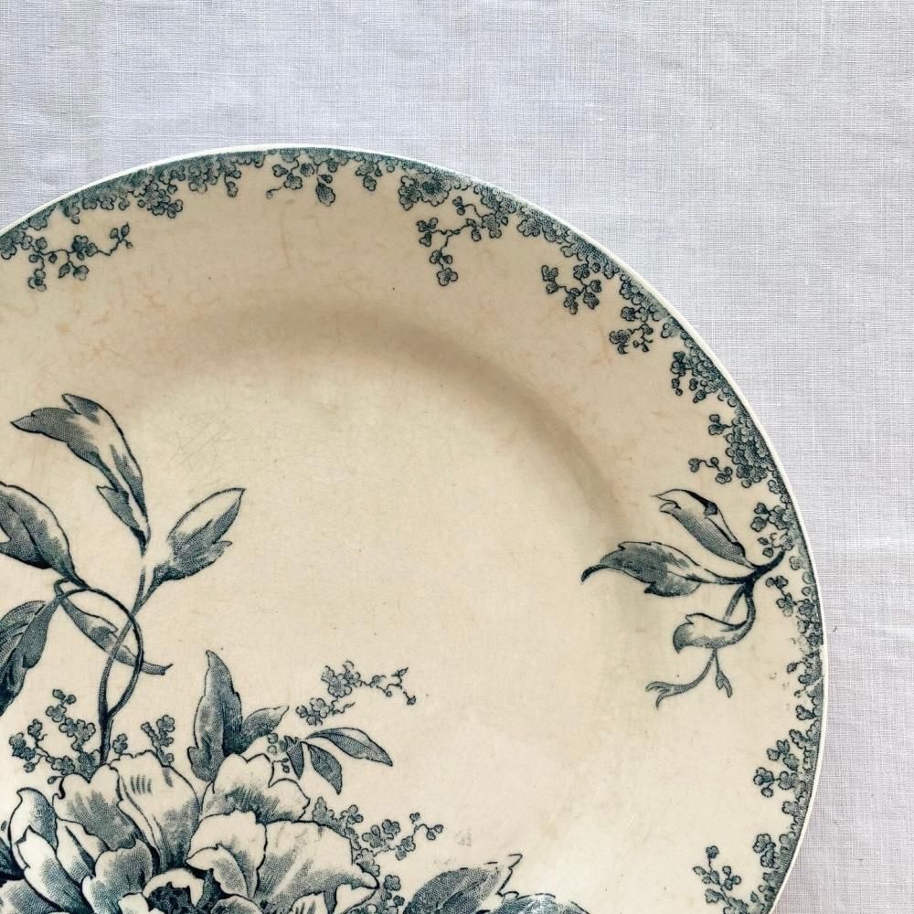 ڥեľ͢ߡۿߤΤ륢ƥ֥롼Ũ GIEN󻮡D