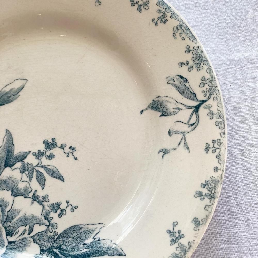 ڥեľ͢ߡۿߤΤ륢ƥ֥롼Ũ GIEN󻮡C