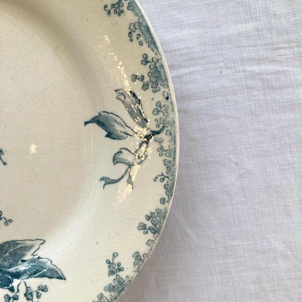 ڥեľ͢ߡۿߤΤ륢ƥ֥롼Ũ GIEN󻮡B