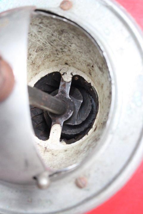 ե󥹥ƥ PEUGEOT ץ硼ҡߥ ֡åե󥹤ȯ