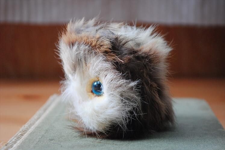 ǥ󤫤 ơ 襤 դΥե奢 ȥ ̲ ֥ ȥԡ ʪ ƥ_ig3449