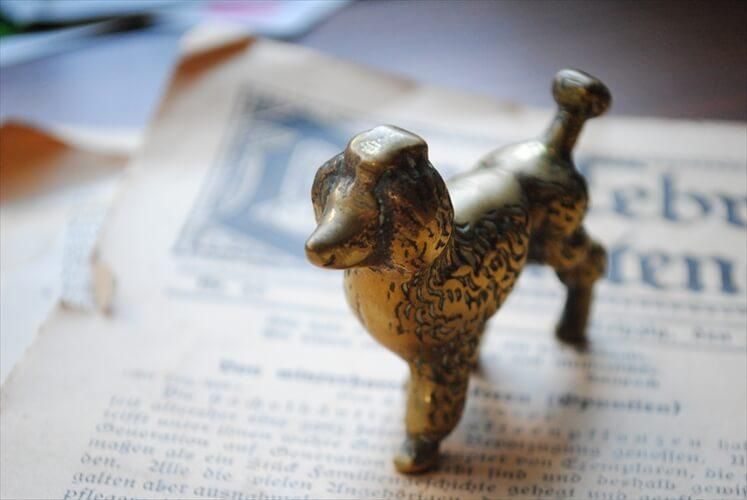 ե󥹤Υ֥Ȥ ʿ﫤Υסɥ  ֥ ֥饹 ե奢 ƥꥢ ʪ Ź޽ ƥ_230822